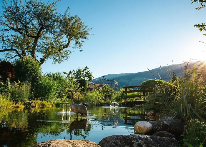 Kohlerhof - 4 Star Wellness&Active Hotel